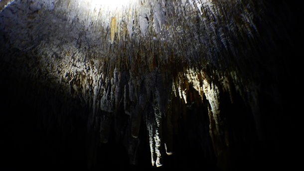 Cenote Chaak Tun
