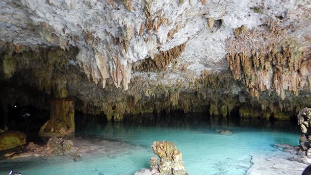Cenote Pet Cemetary México Cenote Pet Cemetary México