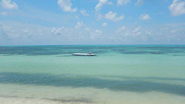 Roteiro de 1 dia em Cozumel México Roteiro de 1 dia em Cozumel México