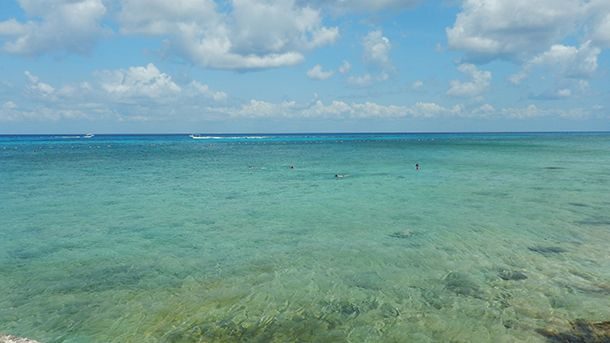 The Money Bar Cozumel The Money Bar Cozumel