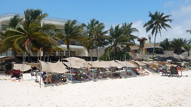 Zenzi Beach Bar Playa del Carmen Zenzi Beach Bar Playa del Carmen