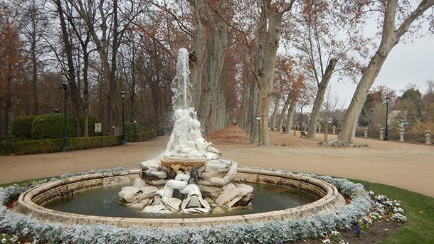 Jardín de La Isla Palacio de Aranjuez Jardín de La Isla Palacio de Aranjuez
