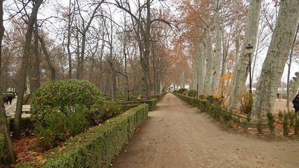 Jardín de La Isla Palacio de Aranjuez Jardín de La Isla Palacio de Aranjuez