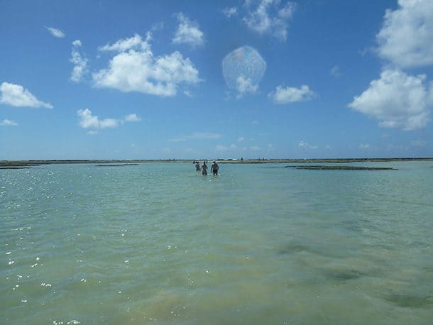 Piscinas Naturais Praia de Antunes Maragogi Alagoas Piscinas Naturais Praia de Antunes Maragogi Alagoas