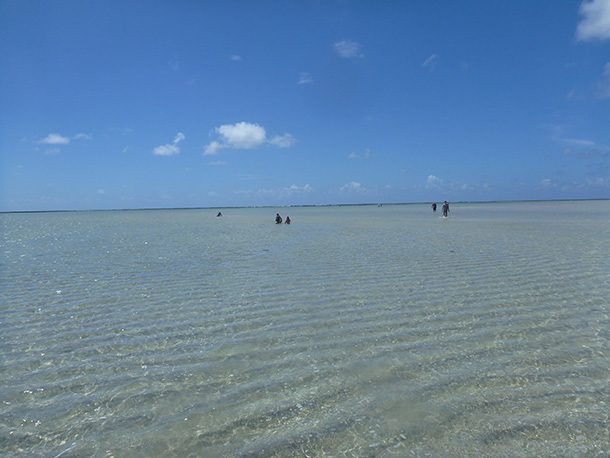 Piscinas Naturais Praia de Antunes Maragogi Alagoas Piscinas Naturais Praia de Antunes Maragogi Alagoas