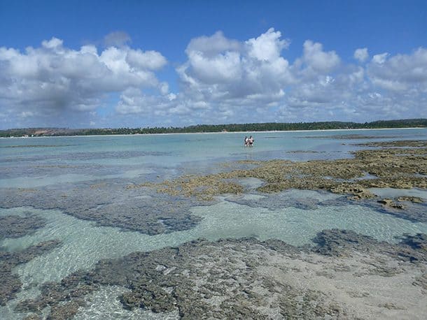 Piscinas Naturais Praia de Antunes Maragogi Alagoas Piscinas Naturais Praia de Antunes Maragogi Alagoas