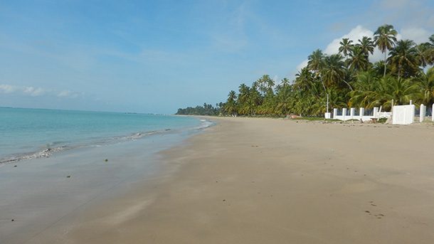 Praia de Peroba Maragogi Praia de Peroba Maragogi