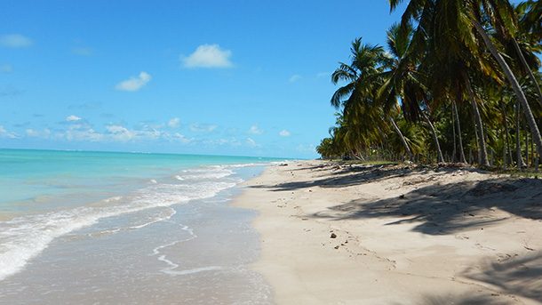 Praia do Xaréu (Praia da Bruna) Maragogi
