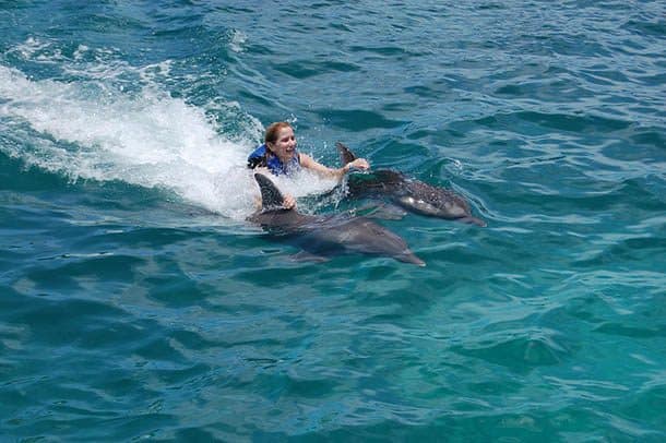 Nadar com Golfinhos Isla Mujeres