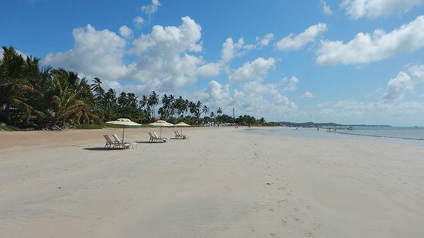 Praia Camurim Grande e Salinas Maragogi