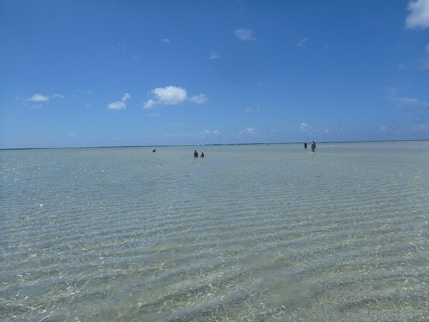 Praia de Antunes Maragogi Alagoas 