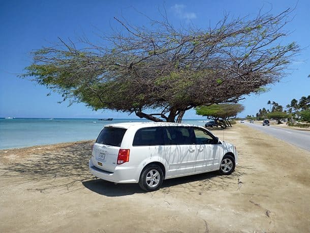 Dicas Alugar Carro em Aruba Dicas Alugar Carro em Aruba