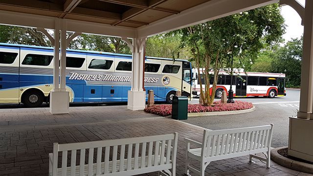 Transporte Ônibus Disney - Orlando