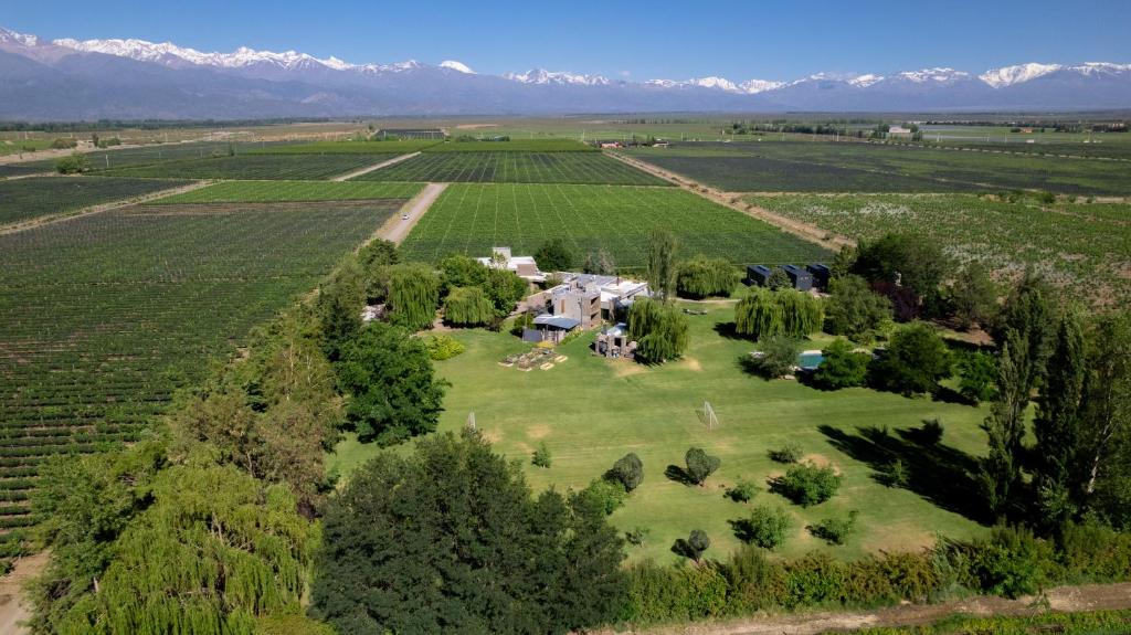 Casa de Huéspedes La Azul - Valle de Uco - Mendoza Casa de Huéspedes La Azul - Valle de Uco - Mendoza
