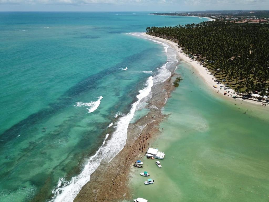 Pontal dos Carneiros - Praia dos Carneiros - Tamandaré - Pernambuco Vista aérea do Pontal dos Carneiros, onde o Rio Formoso encontra o mar, em meio aos extensos coqueirais da região
