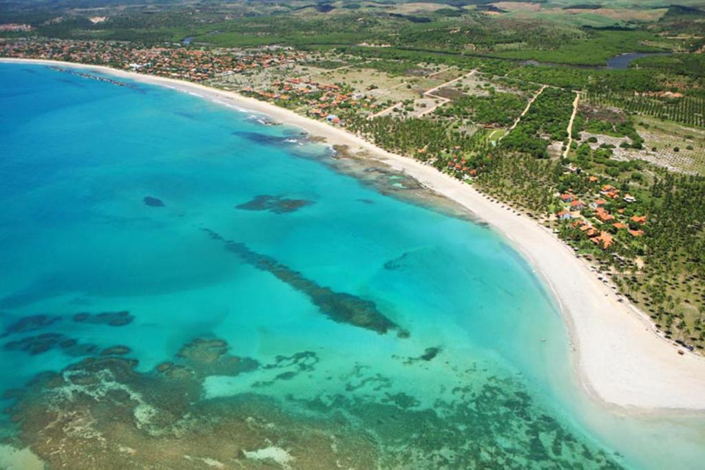 Vista aérea do Lado Mar da Praia dos Carneiros, com mar azul, recifes, faixa de areia e coqueirais próximos a Tamandaré.
